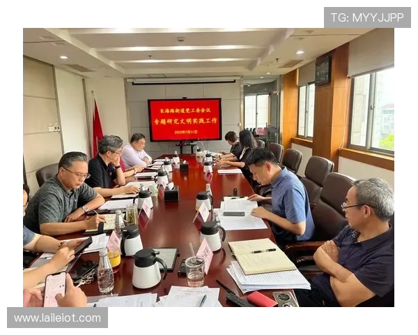 企业家党员在新时代发展中的使命担当与创新实践探索